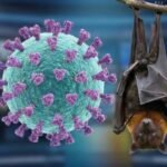 Negara-Negara Asia Perketat Skrining Bandara Usai India Konfirmasi Kasus Virus Nipah
