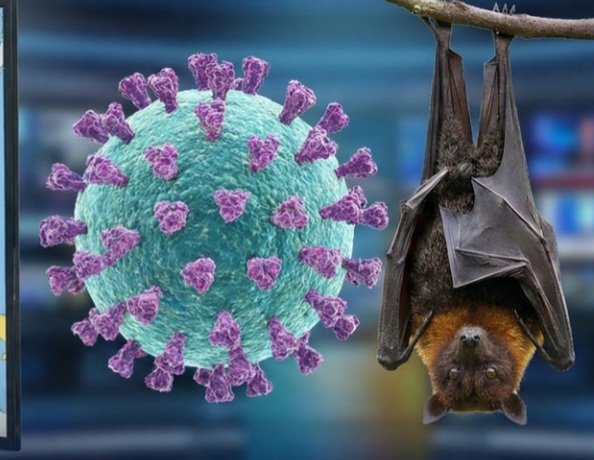 Negara-Negara Asia Perketat Skrining Bandara Usai India Konfirmasi Kasus Virus Nipah